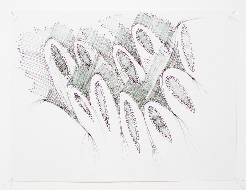 drawing